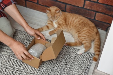 Online pet shop. Woman with cardboard box and cute cat on rug at home, closeup