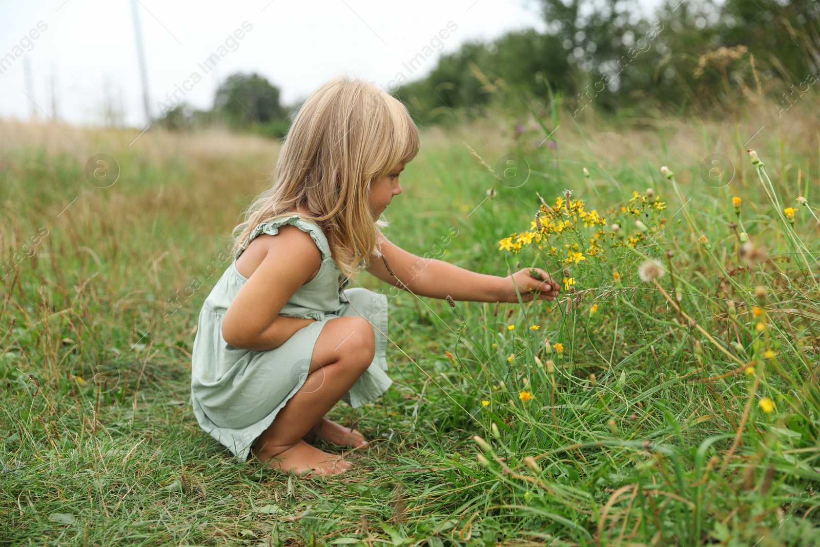 Photo of Cute little girl picking flowers at meadow. Child enjoying beautiful nature