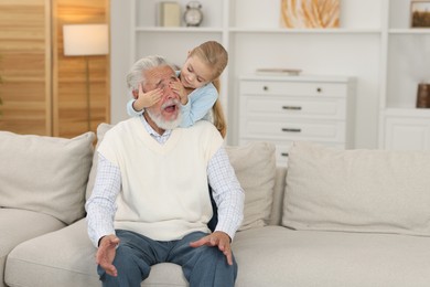 Grandpa and his granddaughter having fun at home