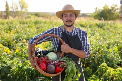 Harvesting season. Farmer holding wicker basket with fresh vegetables in field on sunny day