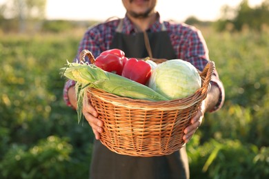 Photo of Harvesting season. Farmer with wicker basket of fresh vegetables in field on sunny day, closeup