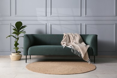 Photo of Comfortable sofa and houseplant near grey wall in room