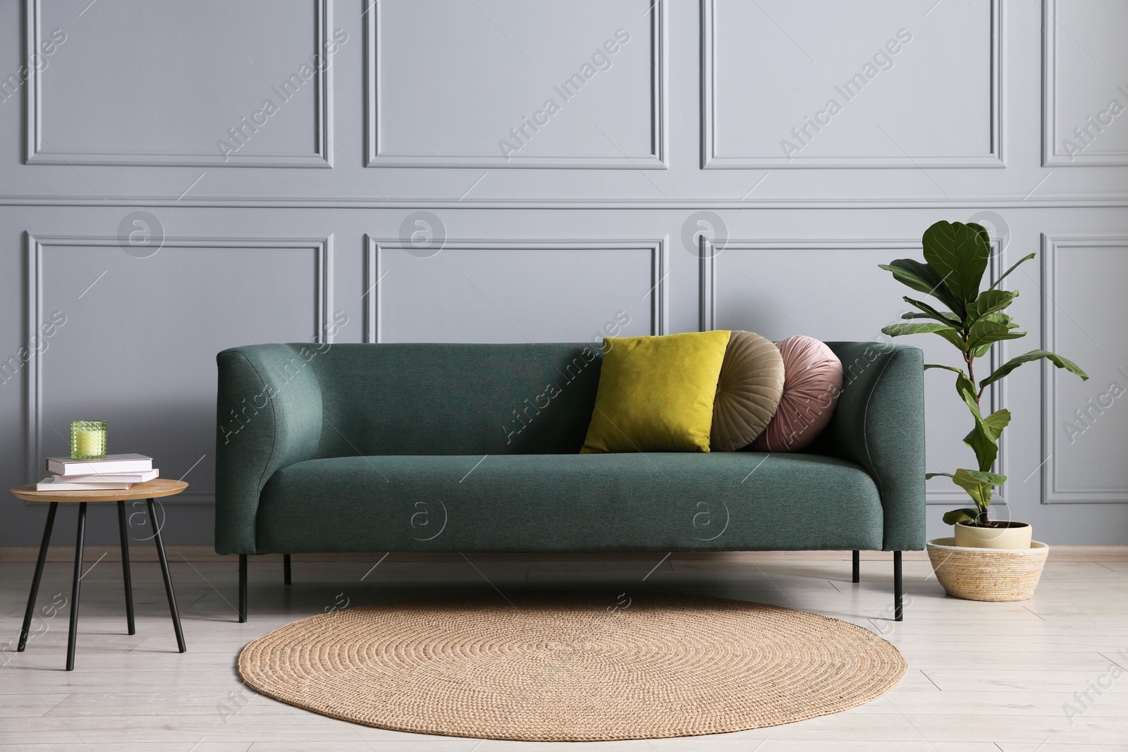 Photo of Comfortable sofa, houseplant and side table near grey wall in room