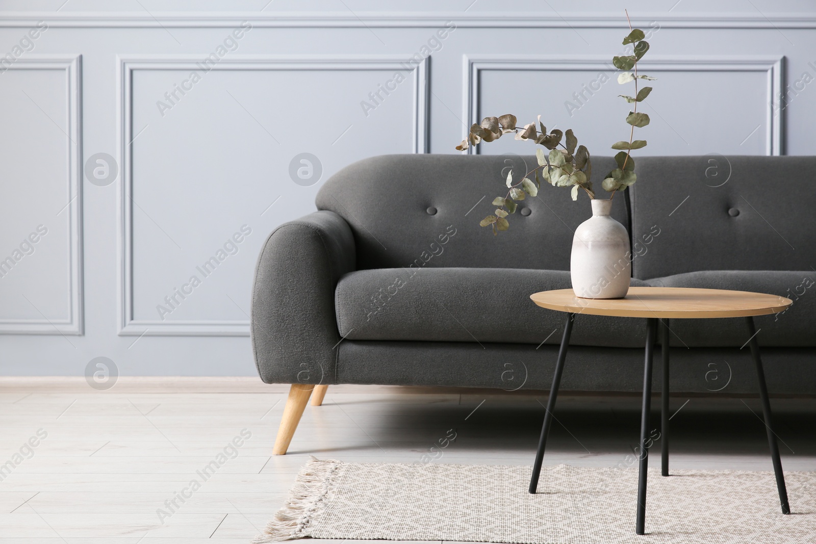 Photo of Stylish sofa and eucalyptus branches in vase on coffee table near grey wall