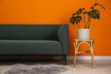 Photo of Stylish sofa and side table with green houseplant near orange wall indoors