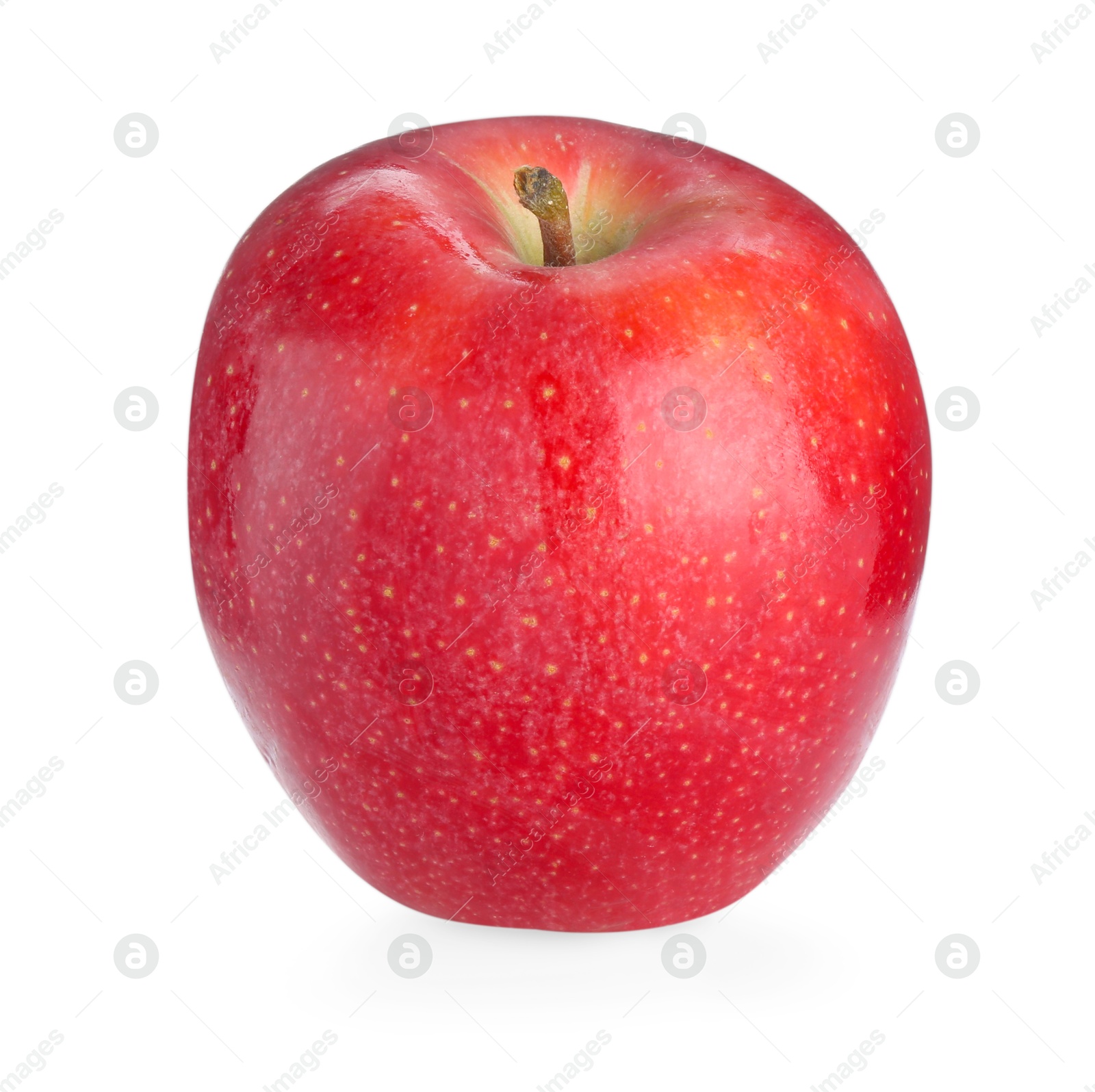 Photo of One fresh red apple isolated on white