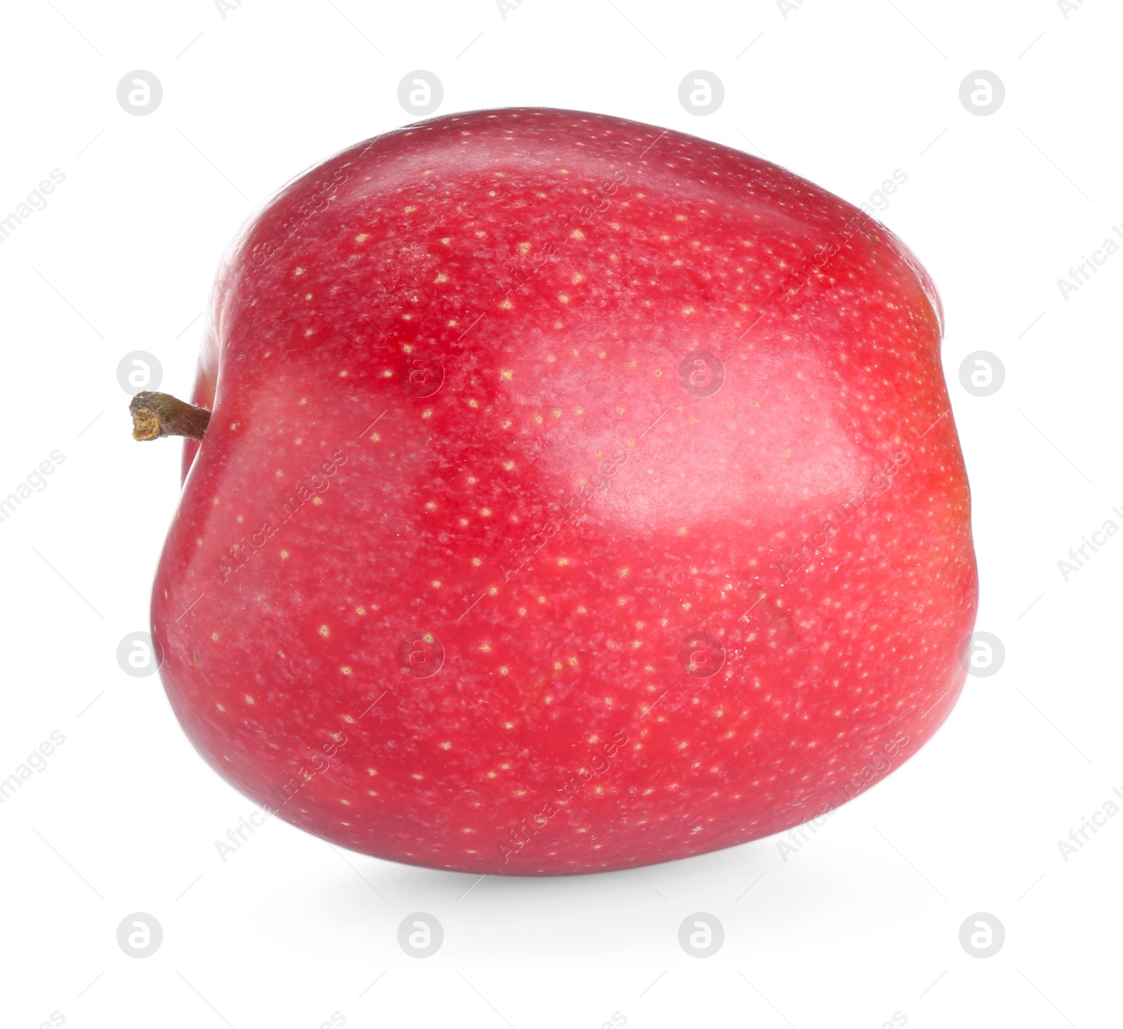 Photo of One fresh red apple isolated on white