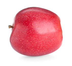 Photo of One fresh red apple isolated on white