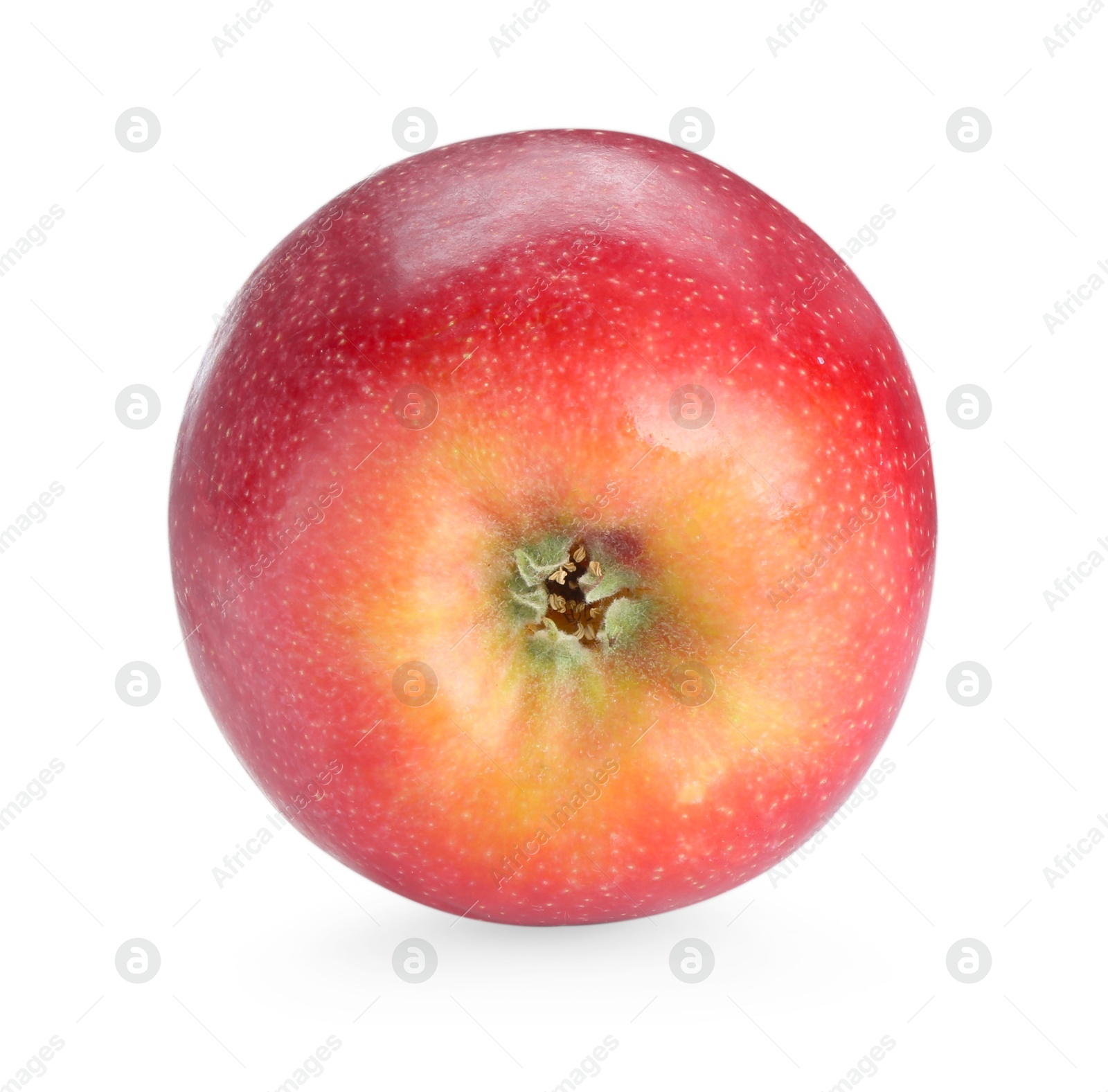 Photo of One fresh red apple isolated on white