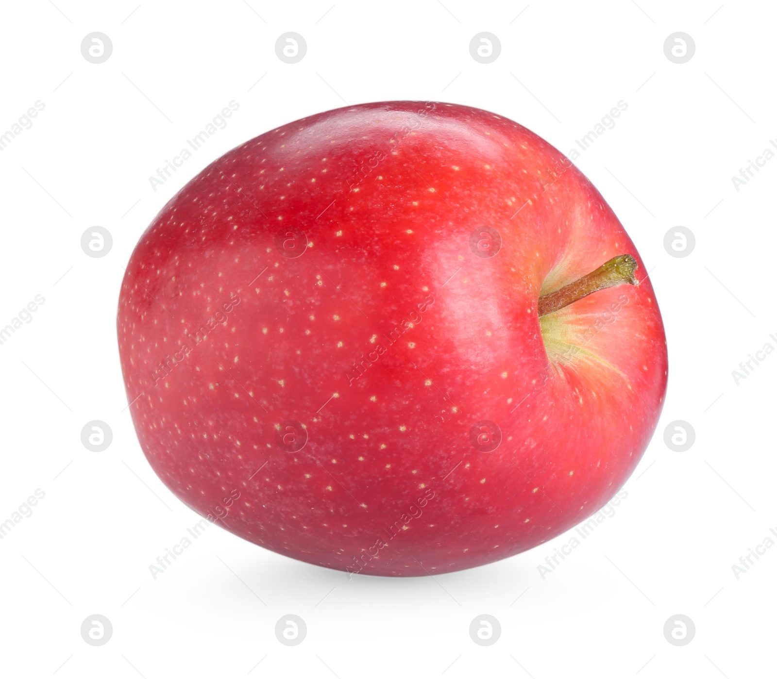 Photo of One fresh red apple isolated on white