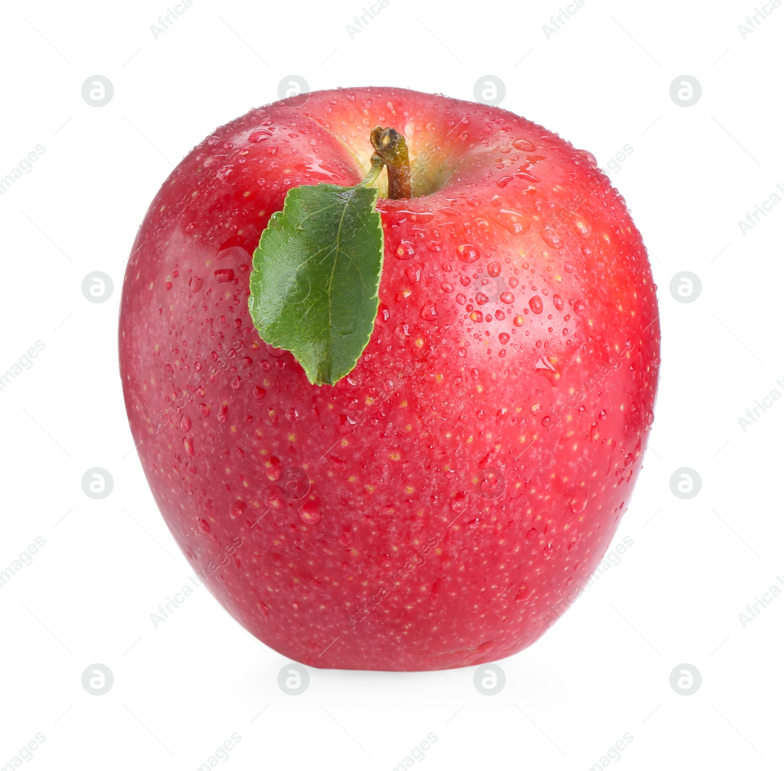 Photo of One fresh red apple isolated on white