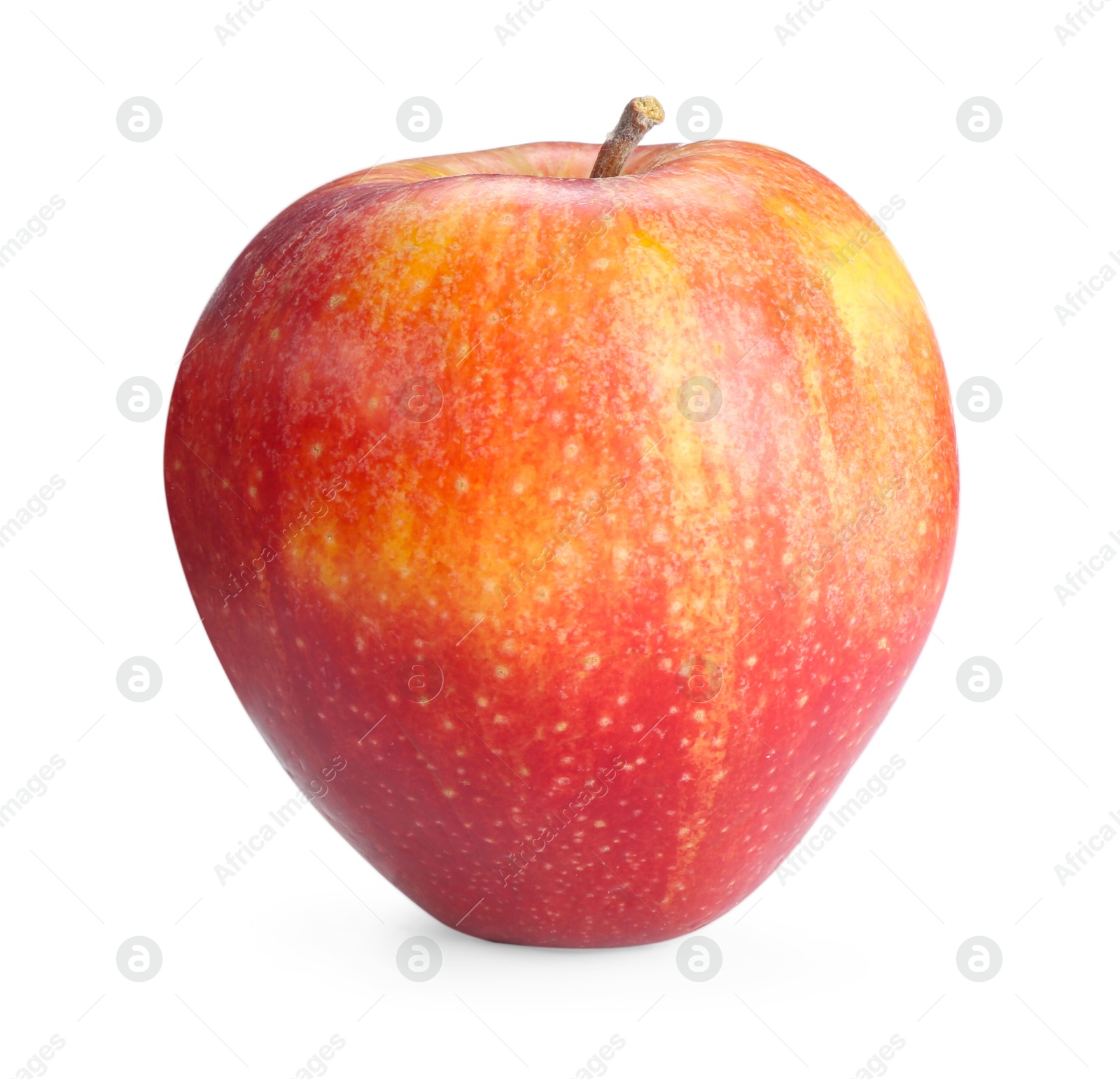 Photo of One fresh red apple isolated on white