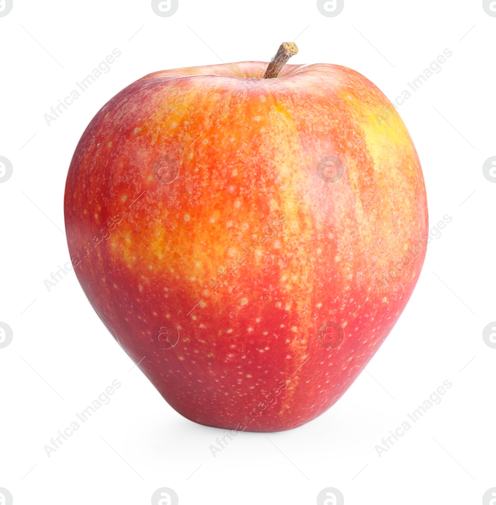 One fresh red apple isolated on white Photo of One fresh red apple isolated on white