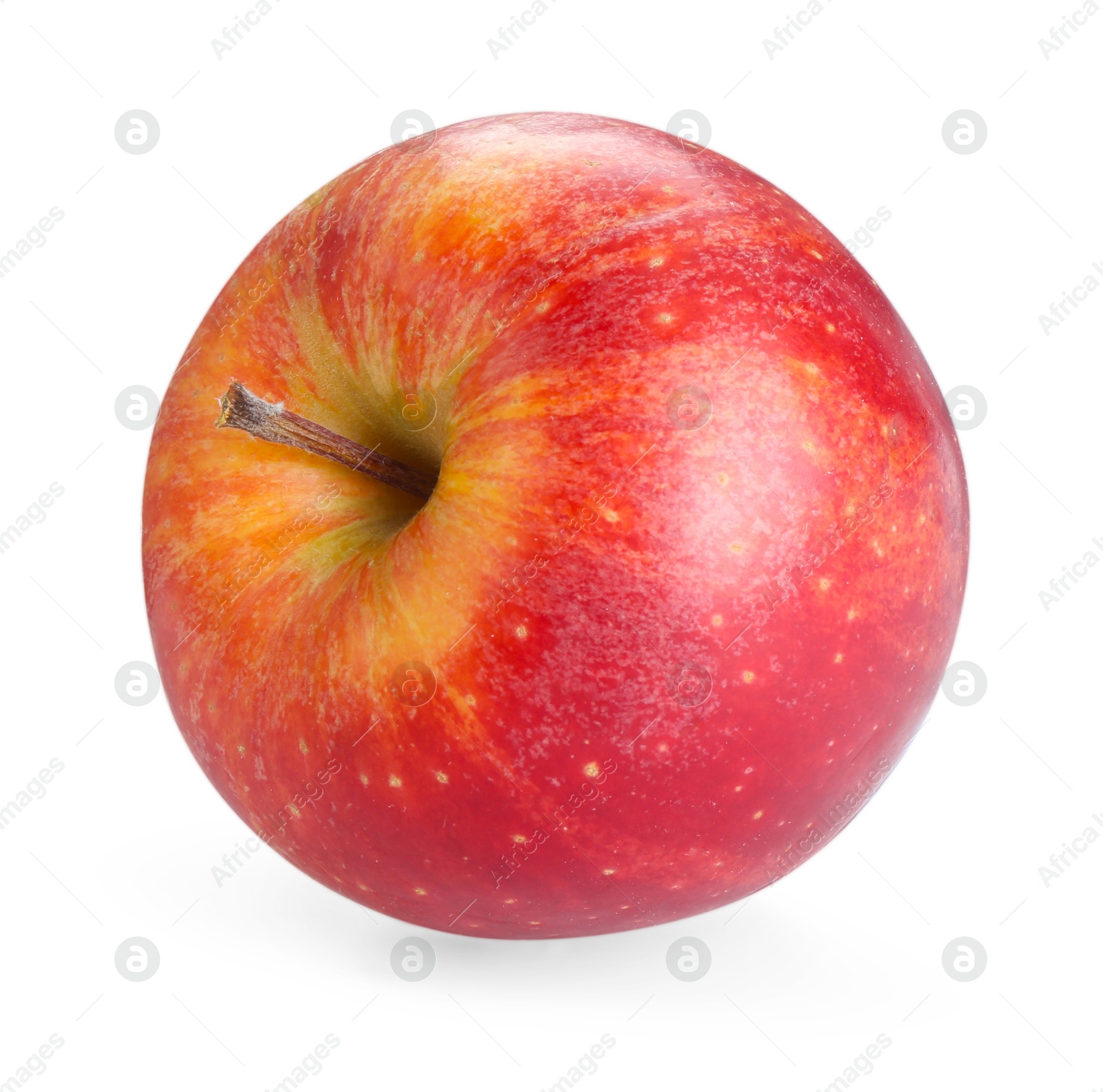 Photo of One fresh red apple isolated on white