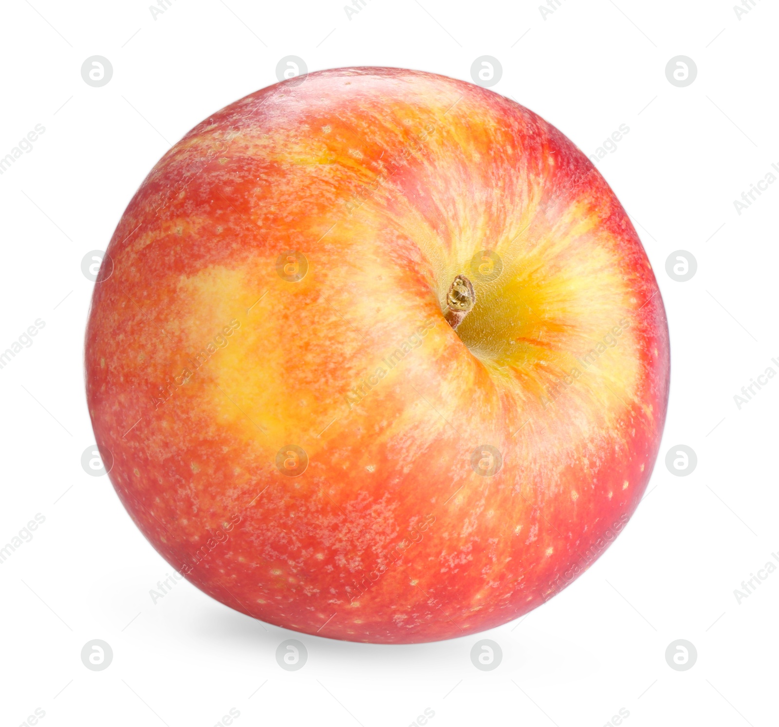 Photo of One fresh red apple isolated on white