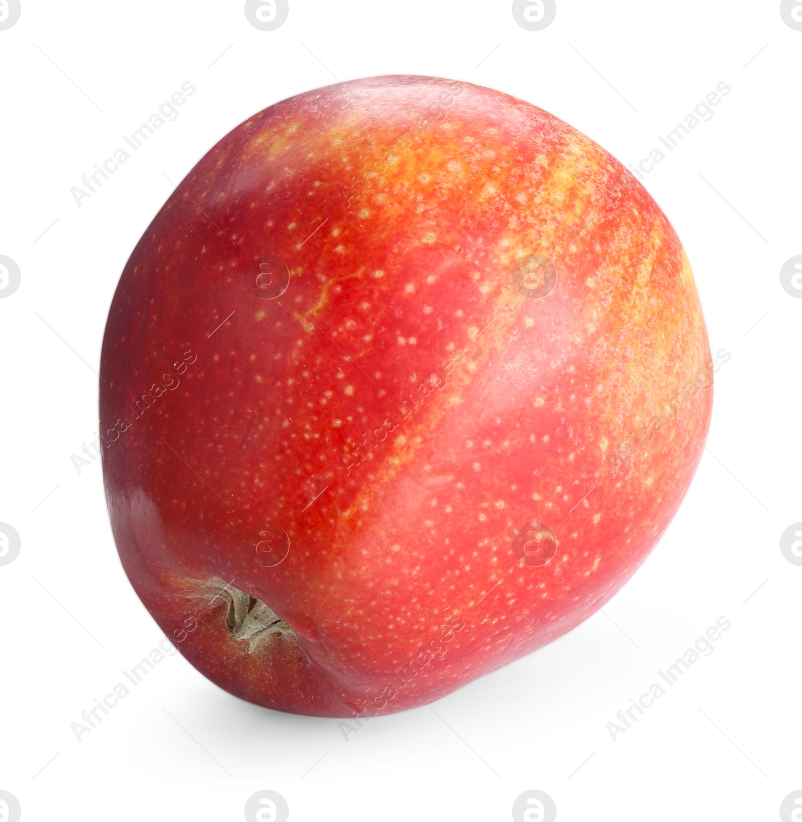 Photo of One fresh red apple isolated on white