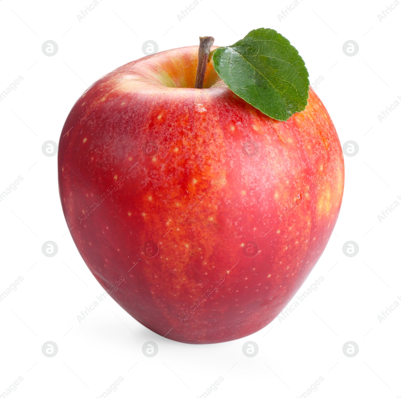 Photo of One fresh red apple isolated on white