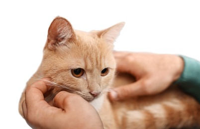 Man petting cute ginger cat on armchair at home, closeup