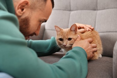 Man petting cute ginger cat on armchair at home