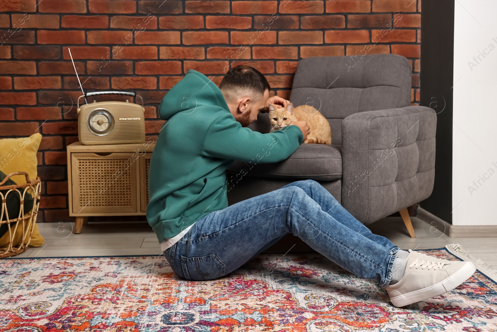 Photo of Man petting cute ginger cat at home