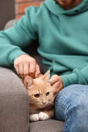 Photo of Man petting cute ginger cat on armchair at home, closeup