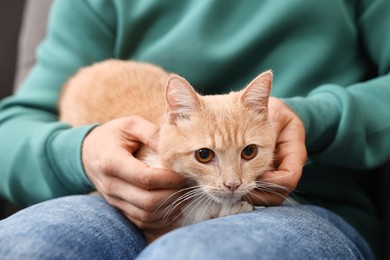 Photo of Man petting cute ginger cat on armchair at home, closeup