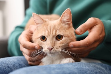 Photo of Man petting cute ginger cat on armchair at home, closeup