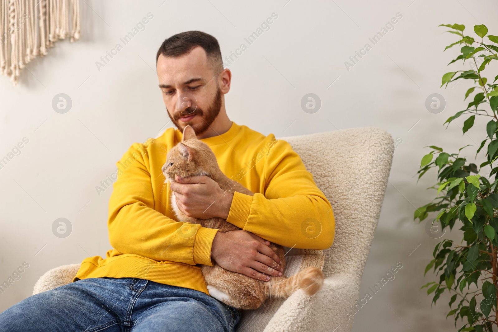 Photo of Man petting cute ginger cat on armchair at home