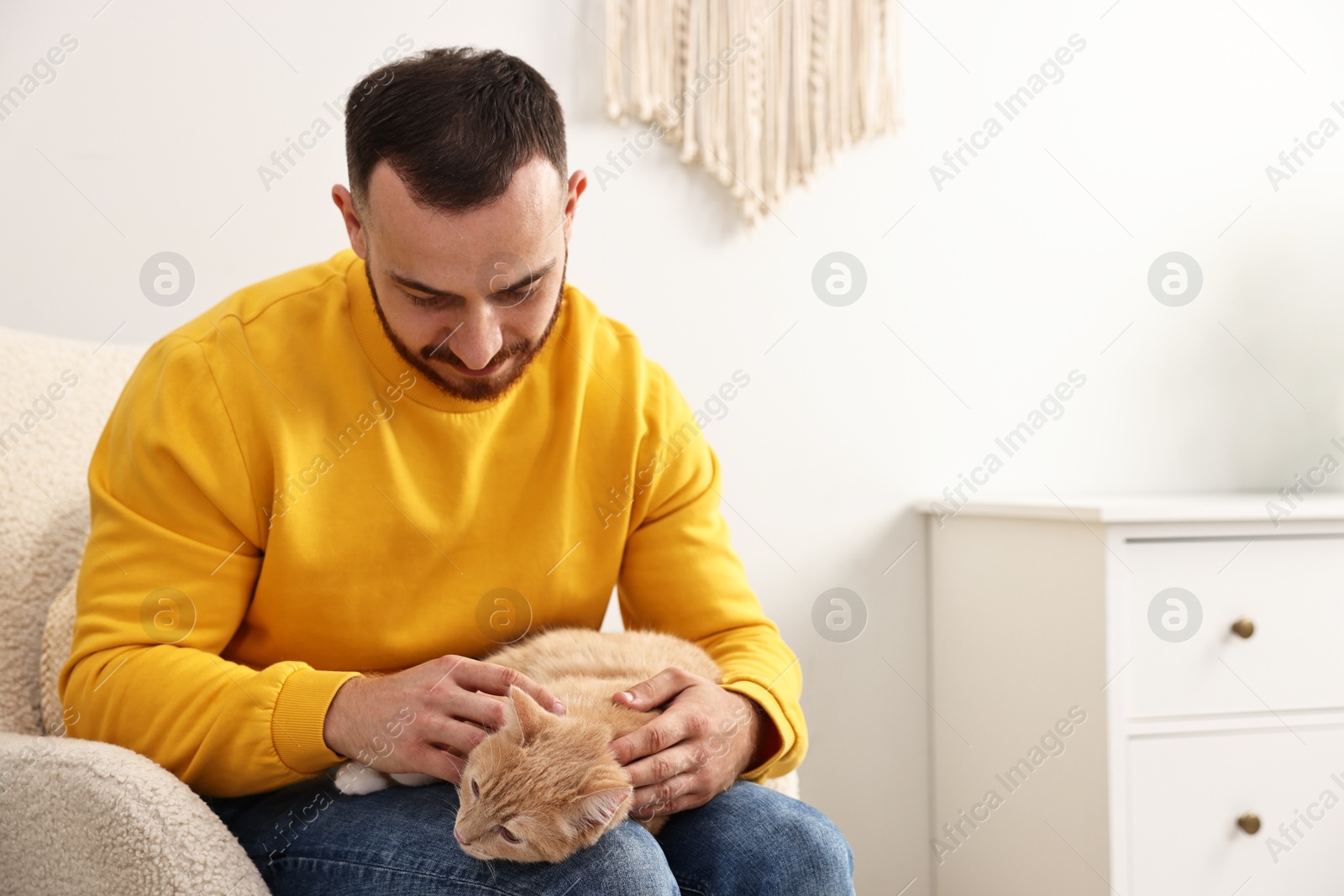 Photo of Man petting cute ginger cat on armchair at home, space for text