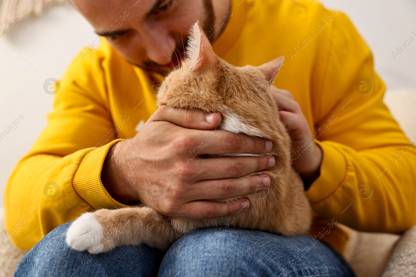 Photo of Man petting cute ginger cat on armchair at home, selective focus