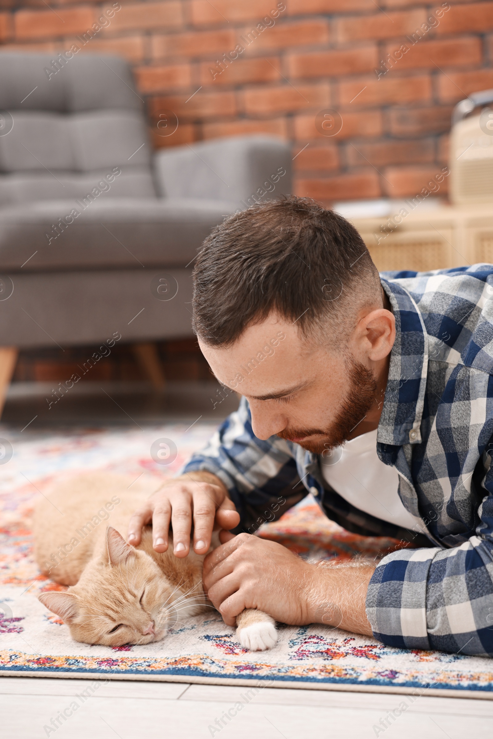 Photo of Man petting cute ginger cat on floor at home