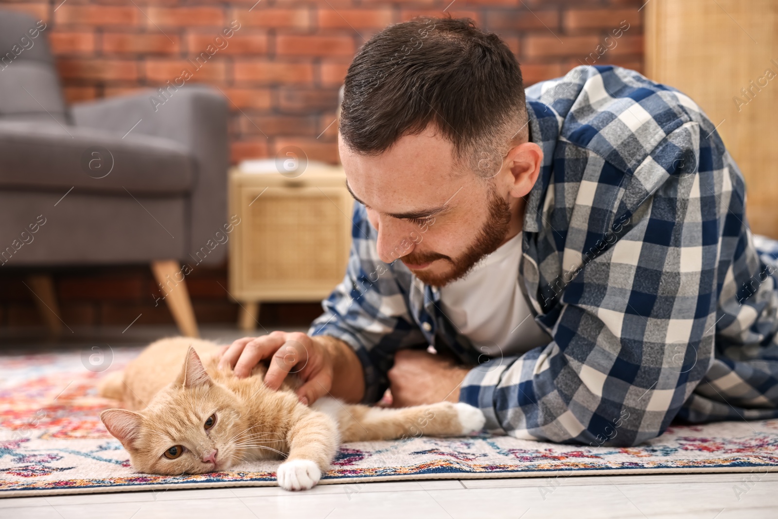 Photo of Man petting cute ginger cat on floor at home