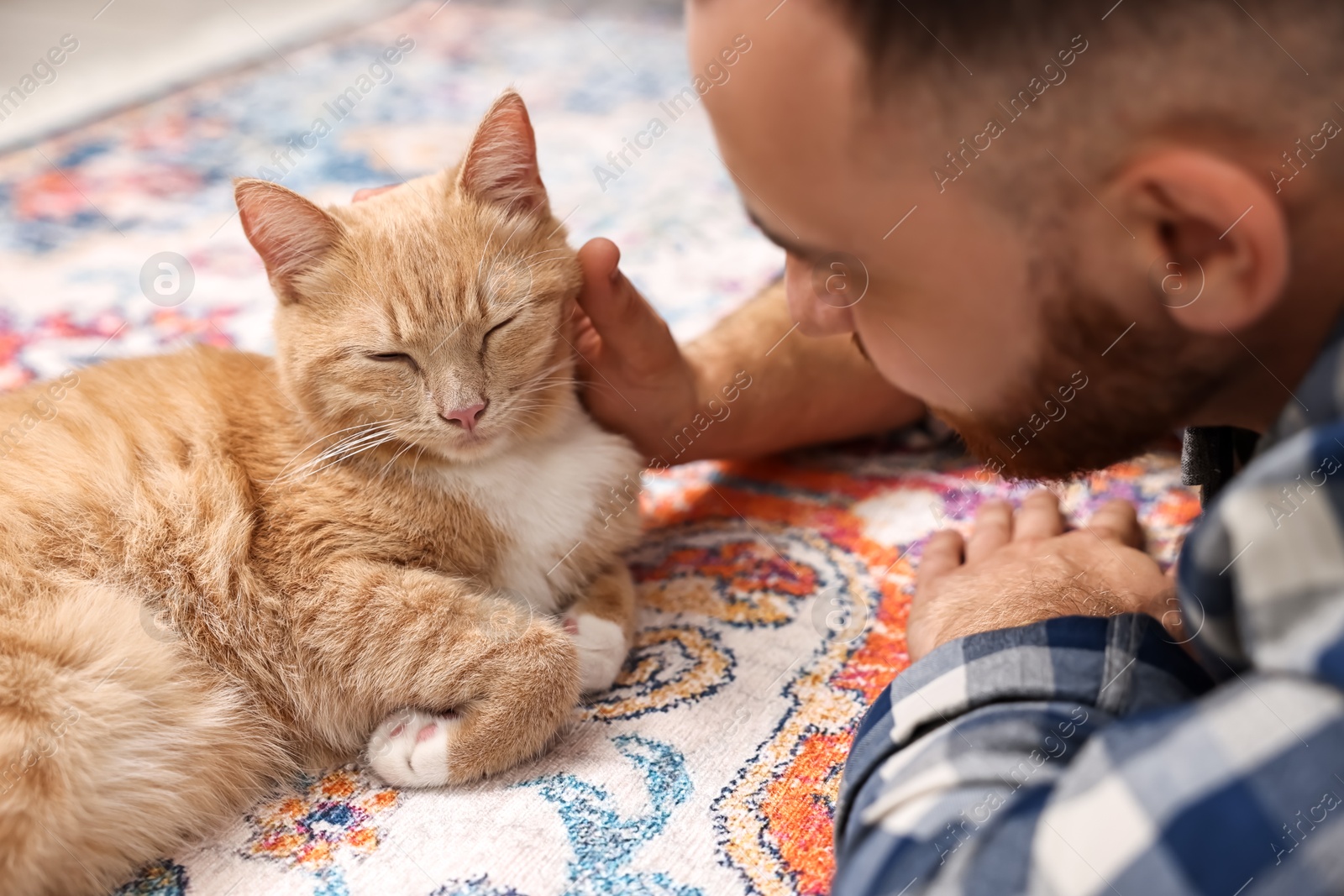 Photo of Man petting cute ginger cat on floor at home, closeup