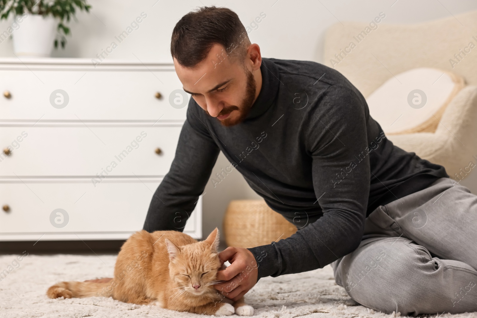 Photo of Man petting cute ginger cat on floor at home