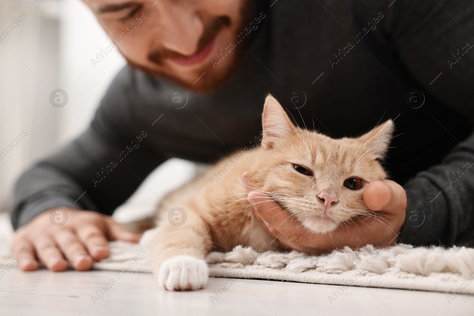 Photo of Man petting cute ginger cat on floor at home, selective focus