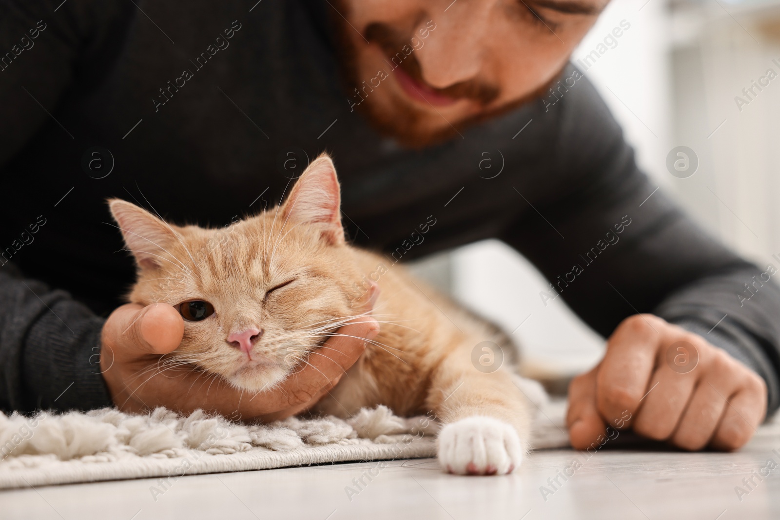 Photo of Man petting cute ginger cat on floor at home, selective focus