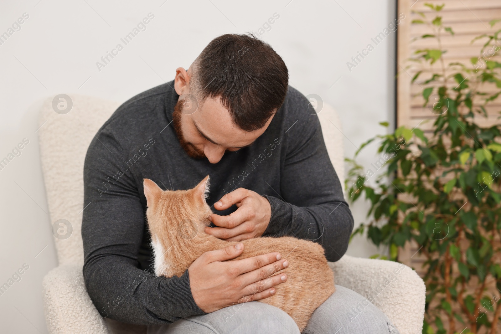 Photo of Man petting cute ginger cat on armchair at home