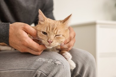 Man petting cute ginger cat on sofa at home, closeup