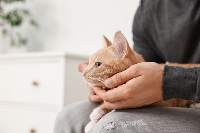 Photo of Man petting cute ginger cat on sofa at home, closeup. Space for text