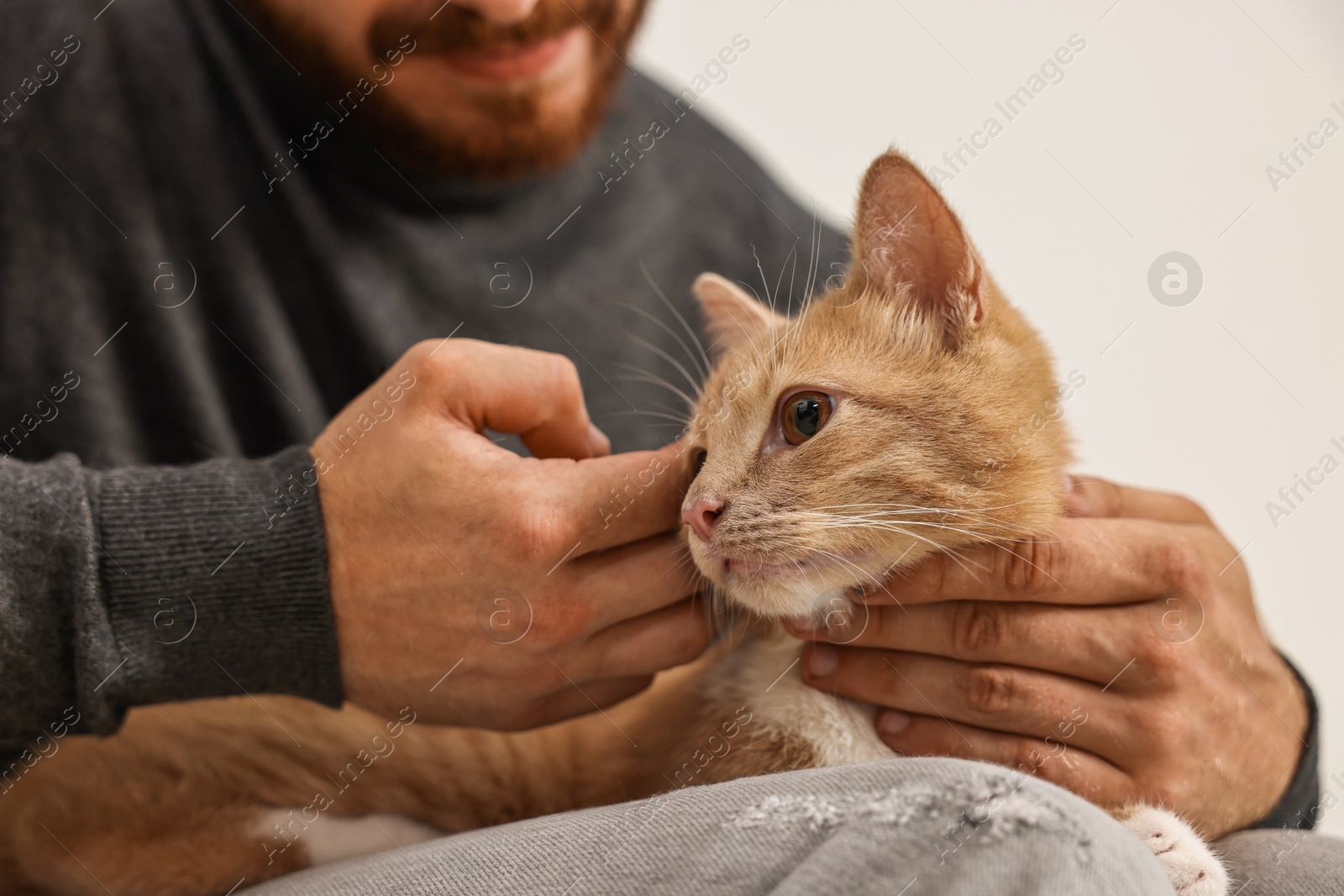 Photo of Man petting cute ginger cat on sofa at home, closeup