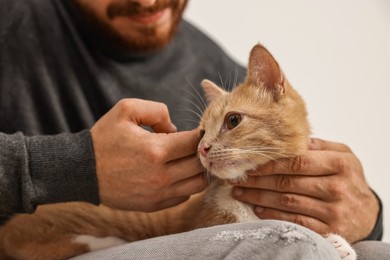 Man petting cute ginger cat on sofa at home, closeup