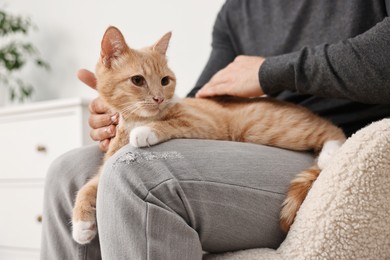 Man petting cute ginger cat on sofa at home, closeup