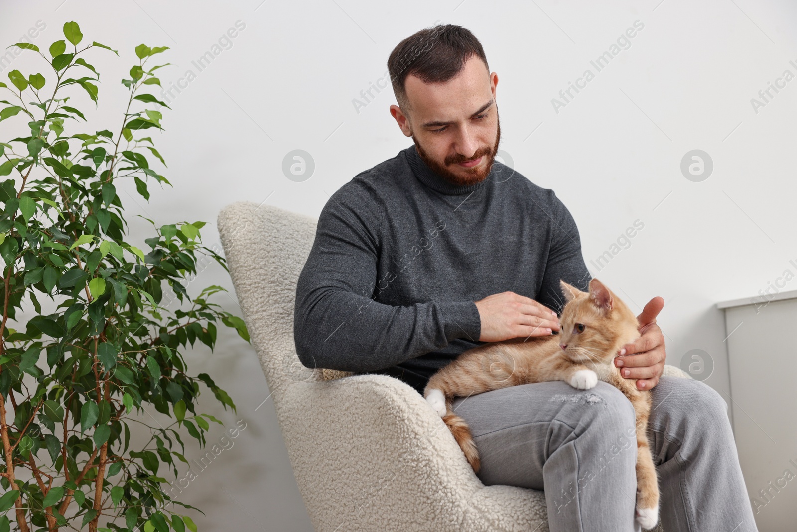 Photo of Man petting cute ginger cat on armchair at home