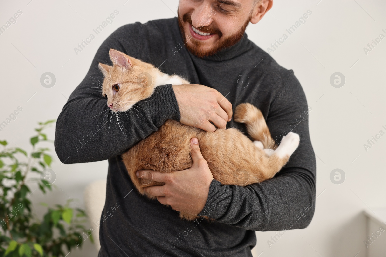 Photo of Man petting cute ginger cat at home