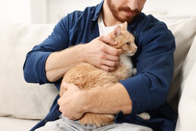 Man petting cute ginger cat on sofa at home, closeup