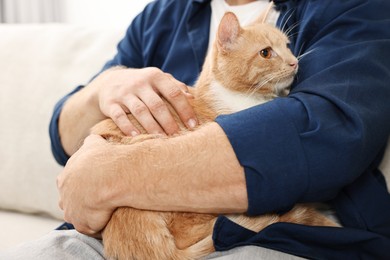 Man petting cute ginger cat on sofa at home, closeup