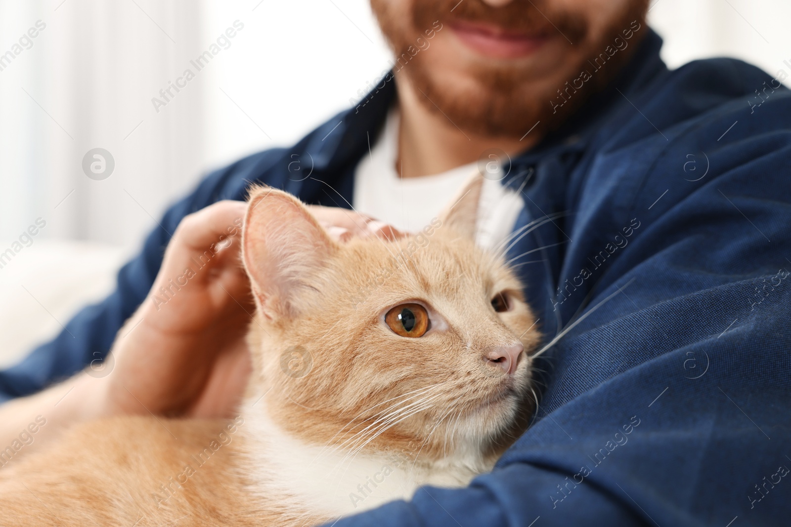 Photo of Man petting cute ginger cat on sofa at home, closeup