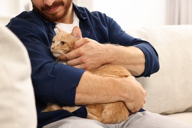 Man petting cute ginger cat on sofa at home, closeup