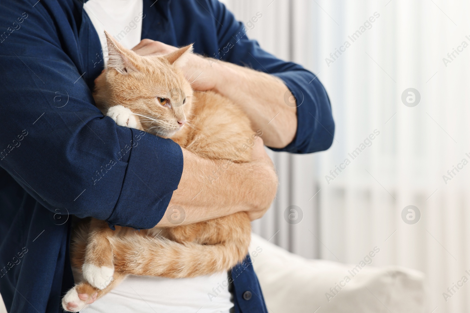 Photo of Man petting cute ginger cat at home, closeup. Space for text