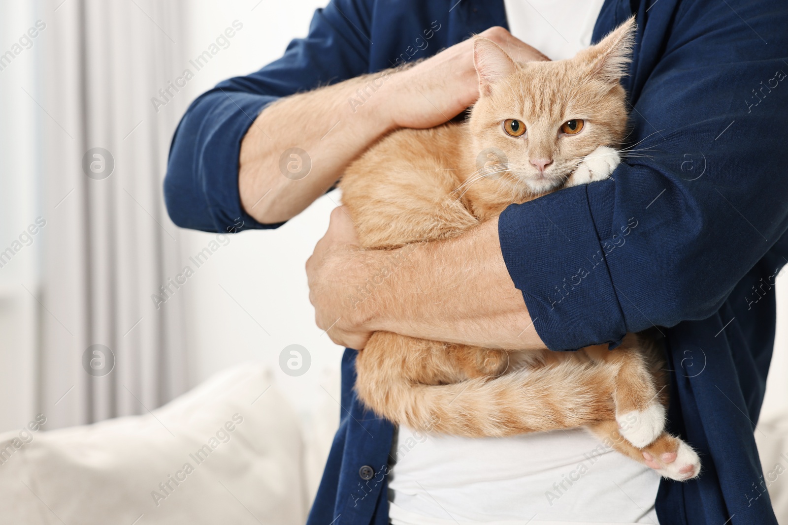 Photo of Man petting cute ginger cat at home, closeup. Space for text